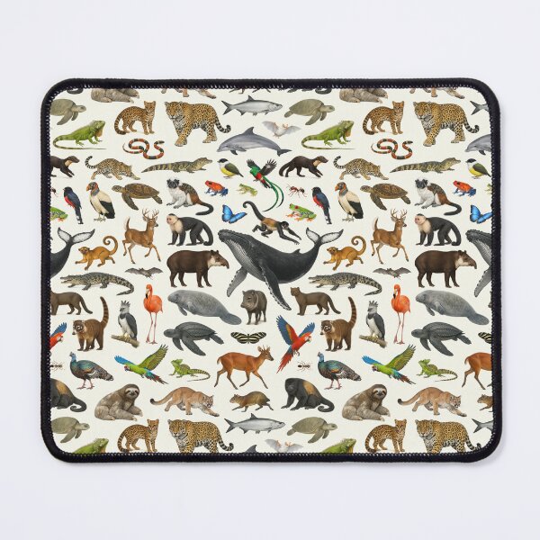 Item preview, Animals of Central America Retro Style Identification Chart designed and sold by kakarikihill.