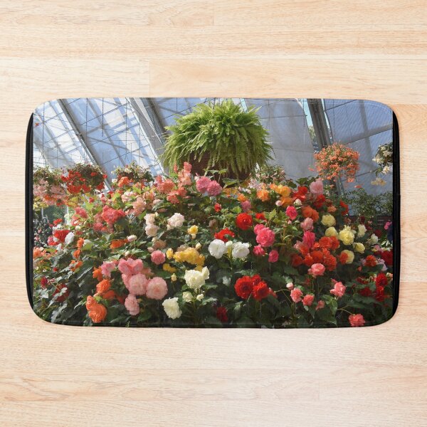 Item preview, Begonia Flower Showcase designed and sold by Yolanda Caporn Art.