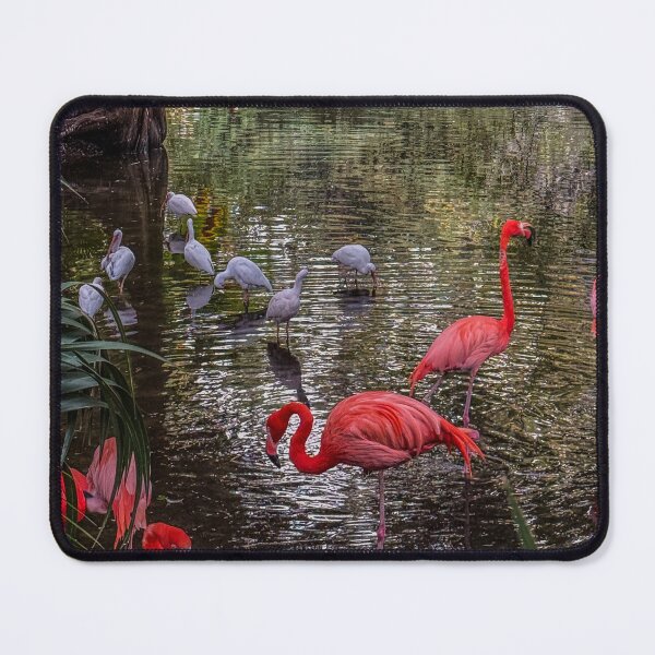 Item preview, Flamingos in Lush Tropical Waterway designed and sold by aadventures.