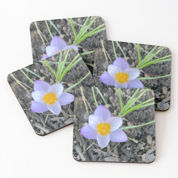 Item preview, First Flower designed and sold by Amanda1775.