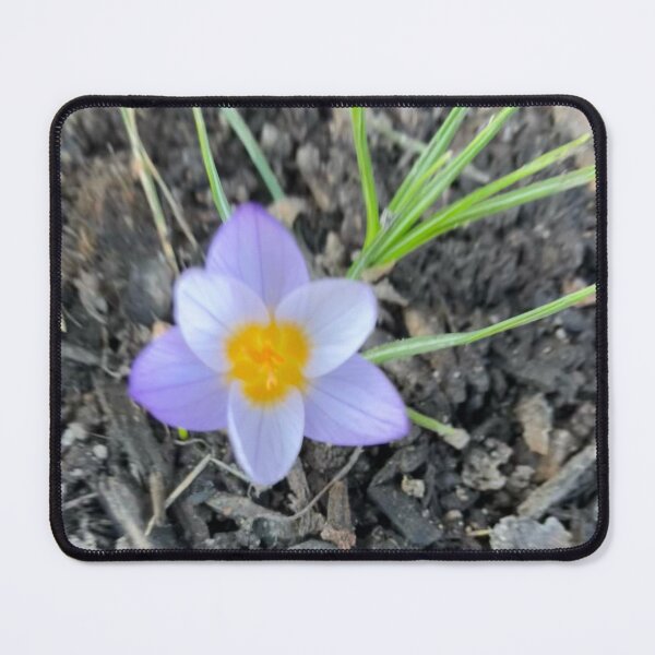 Item preview, First Flower designed and sold by Amanda1775.