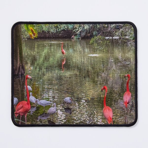 Item preview, Flamingos in Quiet Water, Layered Reflections designed and sold by aadventures.