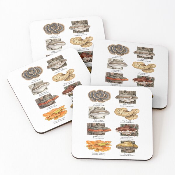 Item preview, Shelf & Bracket Fungi designed and sold by ArunDandiboina.