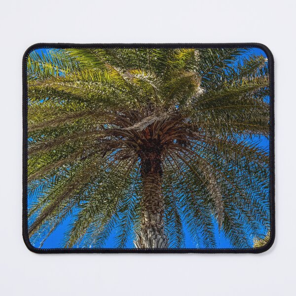 Item preview, Looking Up at Palm Tree Against Blue Sky designed and sold by aadventures.