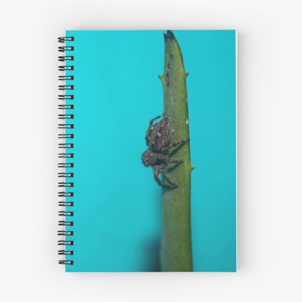 Item preview, Zoom In Spider designed and sold by ROSE ANN BANILAR.
