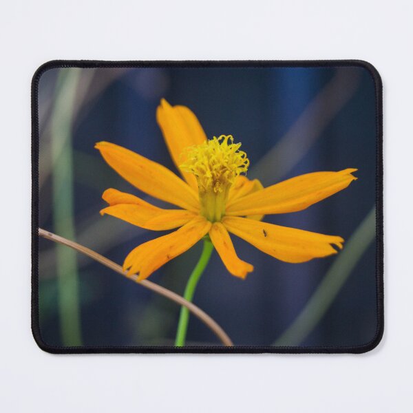 Item preview, Ulam raja designed and sold by ROSE ANN BANILAR.