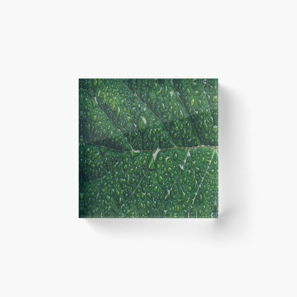 Item preview, leaf dew drops designed and sold by Iskanderox.
