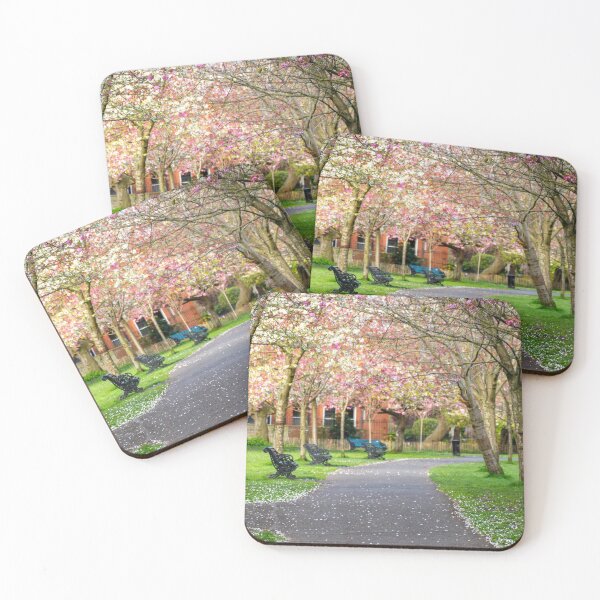Item preview, Cherry Blossoms in Herbert Park Dublin – Spring Bloom Photography Print | Ireland Nature Wall Art designed and sold by Martindoran.