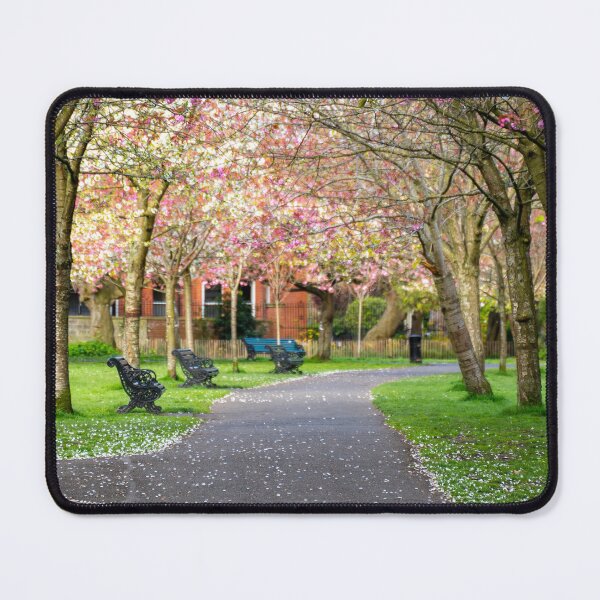Item preview, Cherry Blossoms in Herbert Park Dublin – Spring Bloom Photography Print | Ireland Nature Wall Art designed and sold by Martindoran.