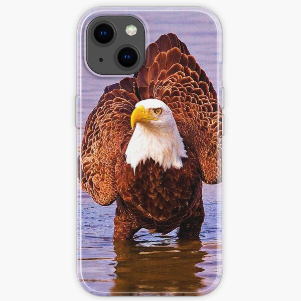 Bald Eagle Portrait iPhone Soft Case