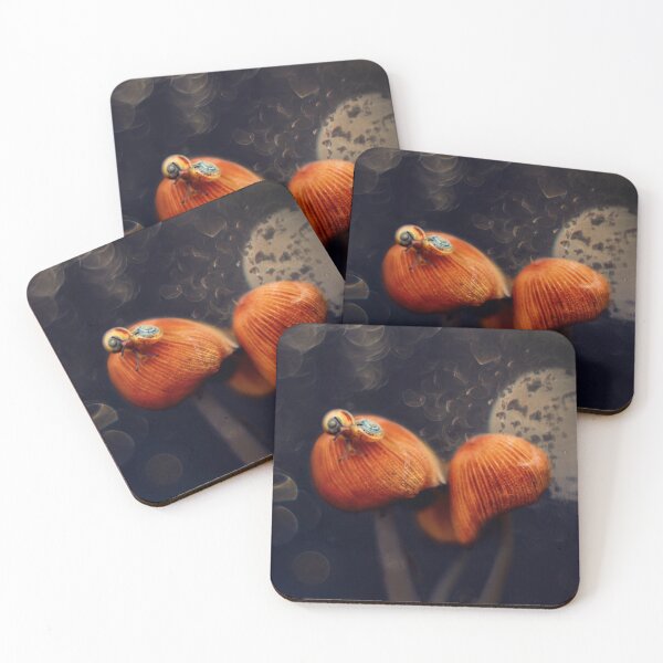 Item preview, Moonlight Encounter: Golden Fungi designed and sold by SoulArchitect.