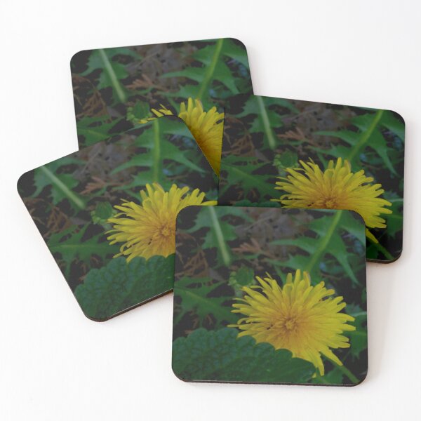 Item preview, Secret Meadow Wildflower - Close-up Yellow Dandelion and Leaves designed and sold by vikko-art.