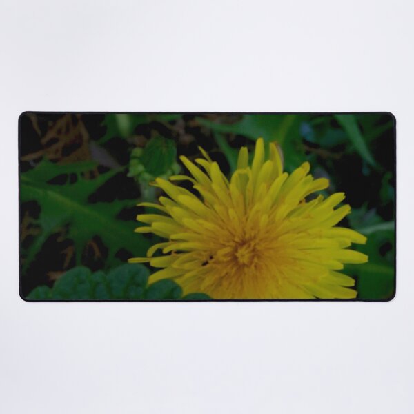 Item preview, Secret Meadow Wildflower - Close-up Yellow Dandelion and Leaves designed and sold by vikko-art.