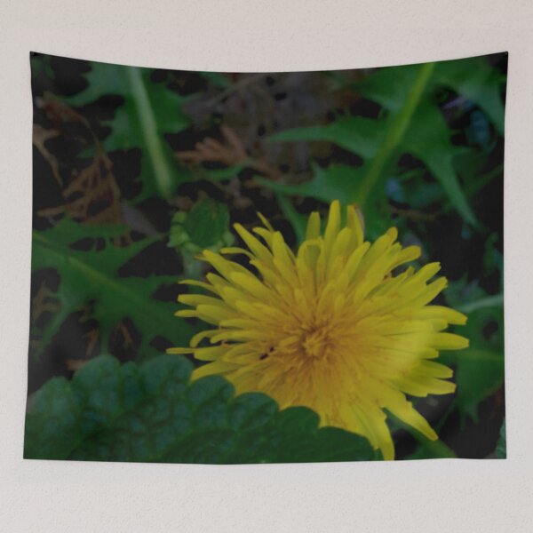 Item preview, Secret Meadow Wildflower - Close-up Yellow Dandelion and Leaves designed and sold by vikko-art.