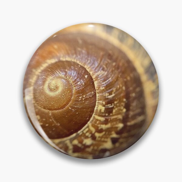 Item preview, Snail Shell designed and sold by designoliviaf.