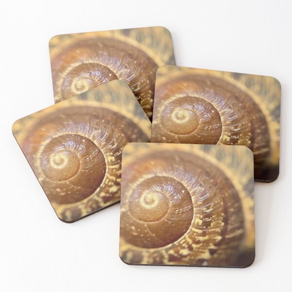 Item preview, Snail Shell designed and sold by designoliviaf.