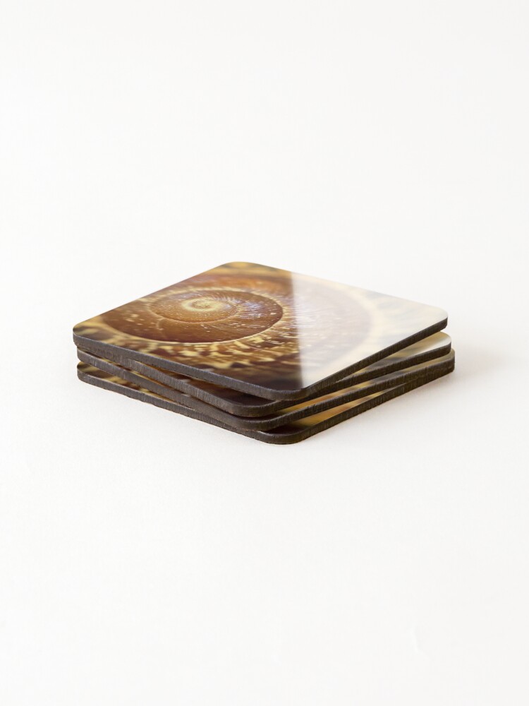 Thumbnail 4 of 5, Coasters (Set of 4), Snail Shell designed and sold by viaf.