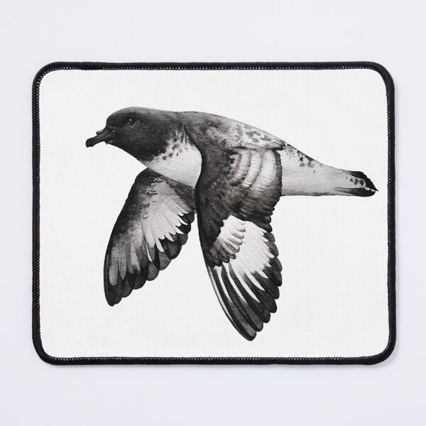 Item preview, Cape petrel designed and sold by art-by-len.