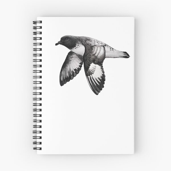 Item preview, Cape petrel designed and sold by art-by-len.