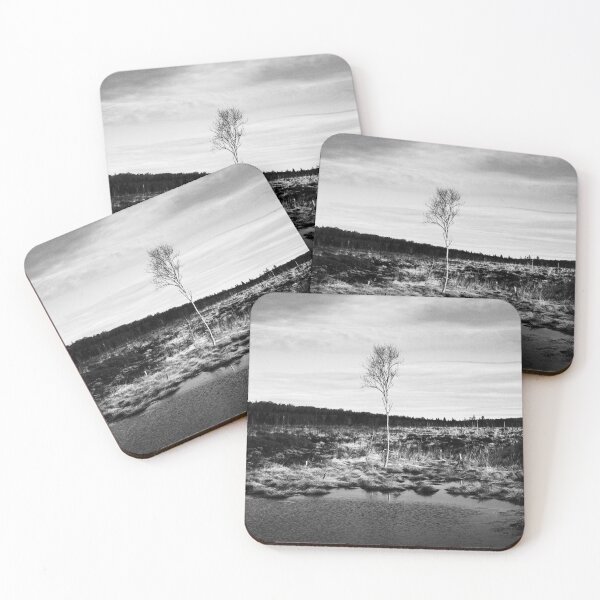 Item preview, Birch tree in a raised bog in black and white designed and sold by TW-Fotos.