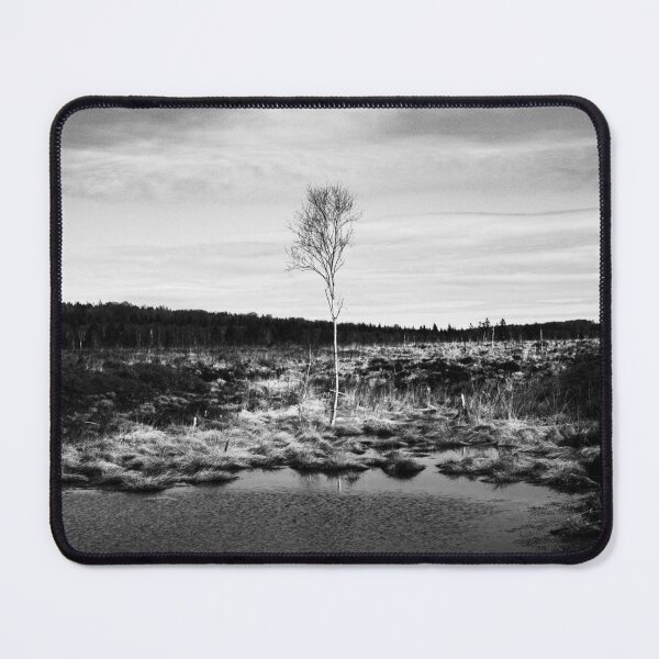Item preview, Birch tree in a raised bog in black and white designed and sold by TW-Fotos.