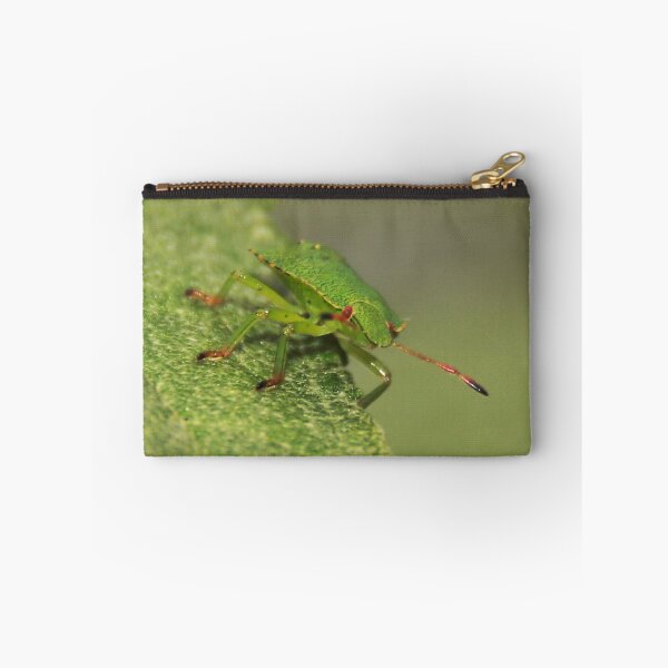 Item preview, Green Shield Bug on Budlea designed and sold by AnnDixon.