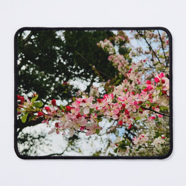 Item preview, Cherry blossoms on Branch designed and sold by Jasbindar Singh.