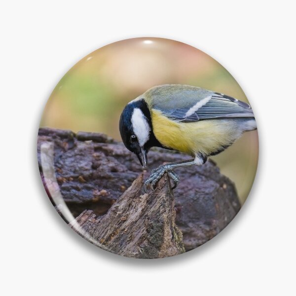 Item preview, Great tit (Parus major)  designed and sold by Stephen Jarman.