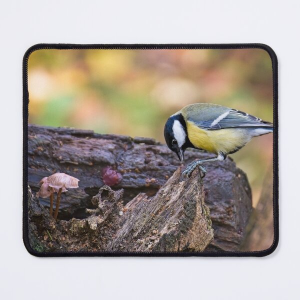 Item preview, Great tit (Parus major) designed and sold by Stephen Jarman.