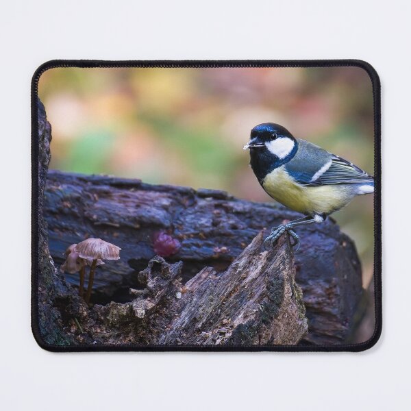 Item preview, Great tit (Parus major) designed and sold by Stephen Jarman.