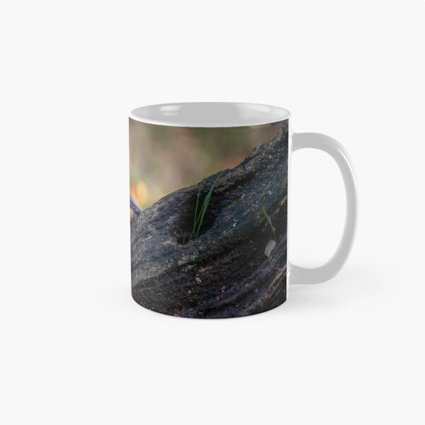 Item preview, Eurasian nuthatch (Sitta europaea) designed and sold by Stephen Jarman.