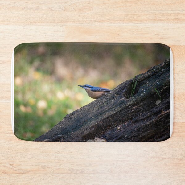 Item preview, Eurasian nuthatch (Sitta europaea) designed and sold by Stephen Jarman.