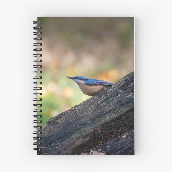 Item preview, Eurasian nuthatch (Sitta europaea) designed and sold by Stephen Jarman.