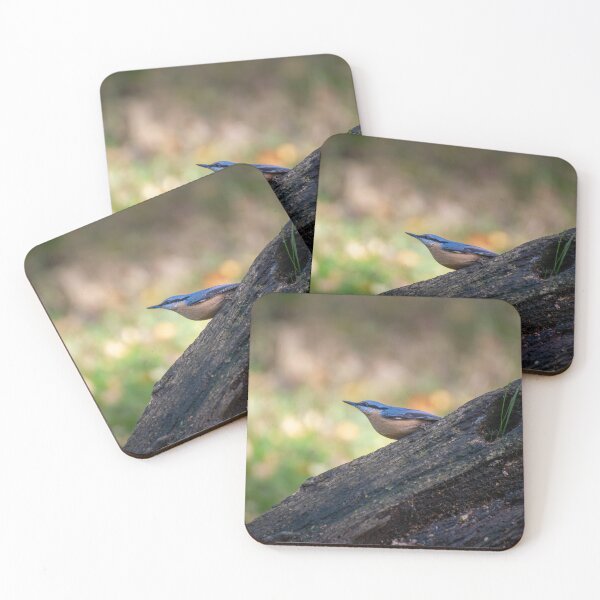 Item preview, Eurasian nuthatch (Sitta europaea) designed and sold by Stephen Jarman.