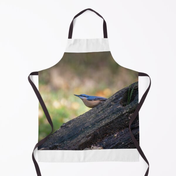 Item preview, Eurasian nuthatch (Sitta europaea) designed and sold by Stephen Jarman.