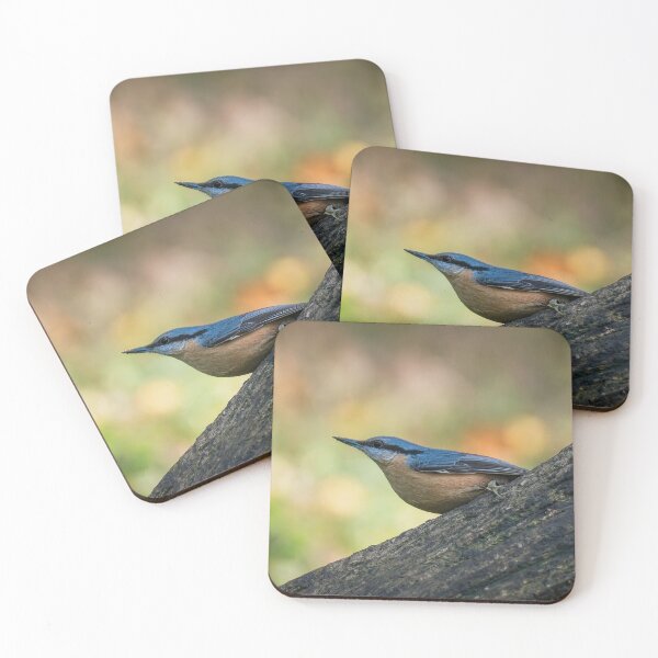 Item preview, Eurasian nuthatch (Sitta europaea)  designed and sold by Stephen Jarman.