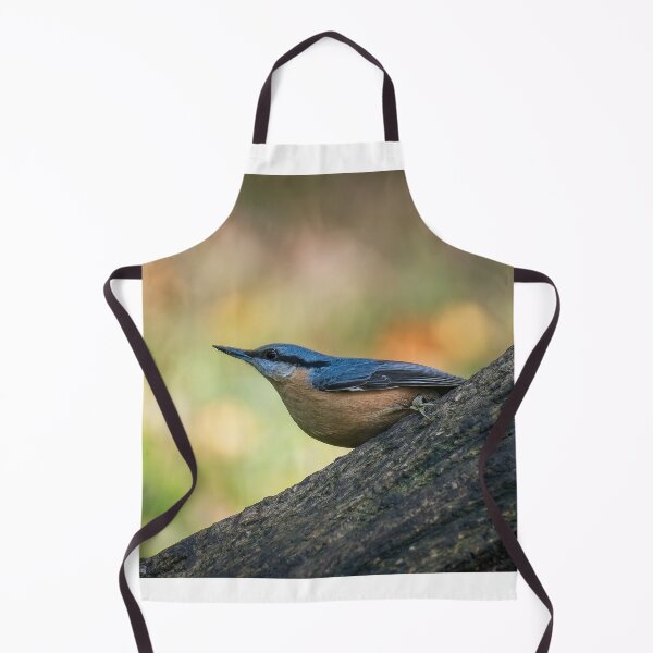 Item preview, Eurasian nuthatch (Sitta europaea)  designed and sold by Stephen Jarman.