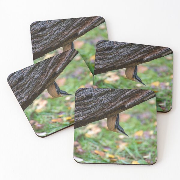 Item preview, Eurasian nuthatch (Sitta europaea)  designed and sold by Stephen Jarman.