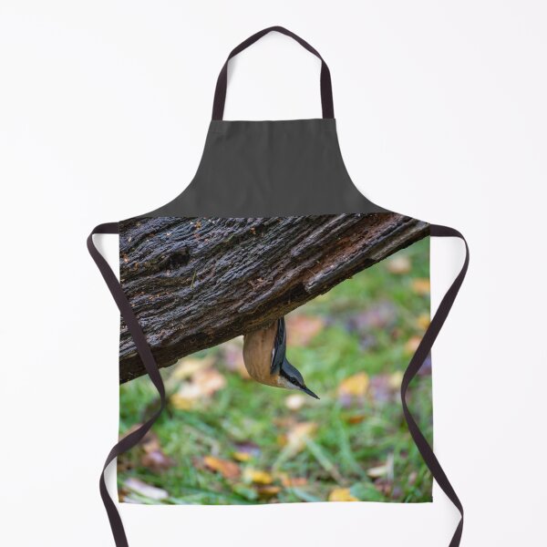 Item preview, Eurasian nuthatch (Sitta europaea) designed and sold by Stephen Jarman.