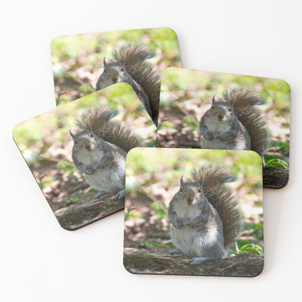 Item preview, Grey squirrel  designed and sold by Stephen Jarman.