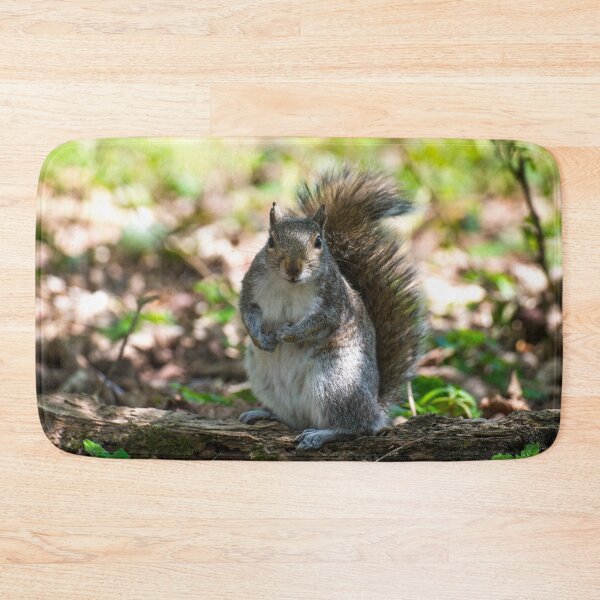 Item preview, Grey squirrel  designed and sold by Stephen Jarman.