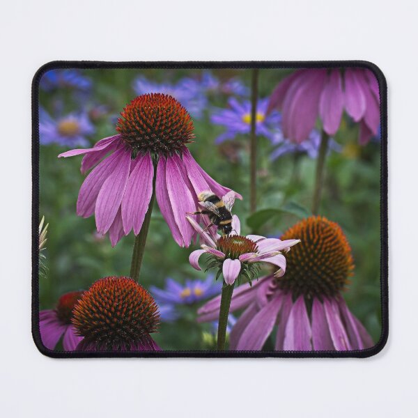Item preview, Bumblebee and flowers designed and sold by Stephen Jarman.