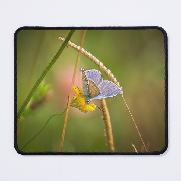 Item preview, Beautiful butterfly (Polyommatus icarus) designed and sold by Stephen Jarman.