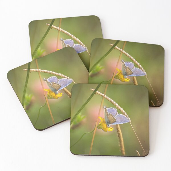 Item preview, Beautiful butterfly (Polyommatus icarus) designed and sold by Stephen Jarman.