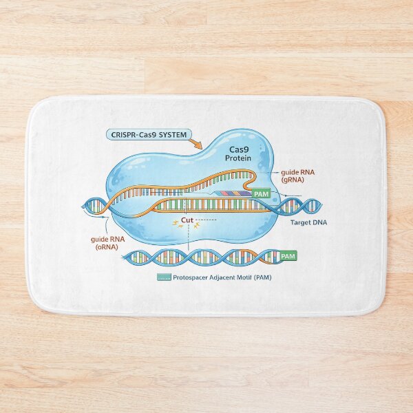 Item preview, CRISPR Cas9 Gene Editing Diagram designed and sold by HypatiaLab.