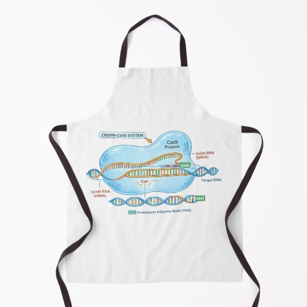 Item preview, CRISPR Cas9 Gene Editing Diagram designed and sold by HypatiaLab.