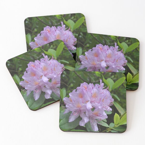 Item preview, Pacific Rhododendron designed and sold by charlie-rene.