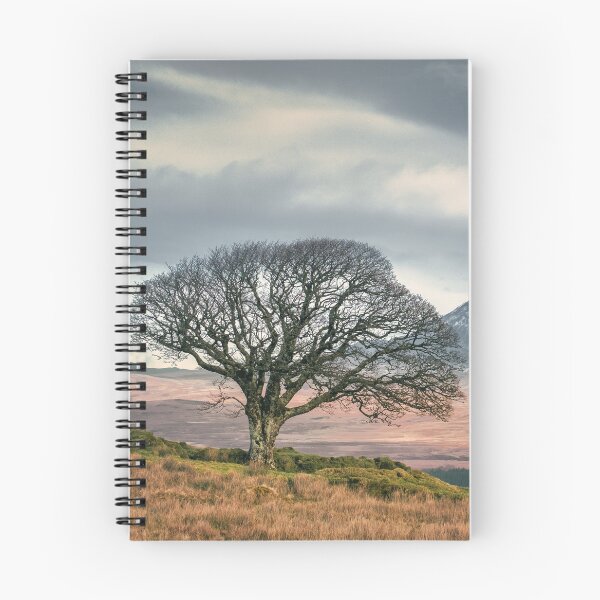 Item preview, Paps of Jura designed and sold by David Bowman.