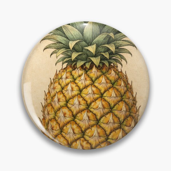 Artikelvorschau, Botanische Illustration einer Ananas im Vintage-Stil – Antiker Fruchtdruck, Ananas Comosus Wandbild entworfen und verkauft von Darlin8888.