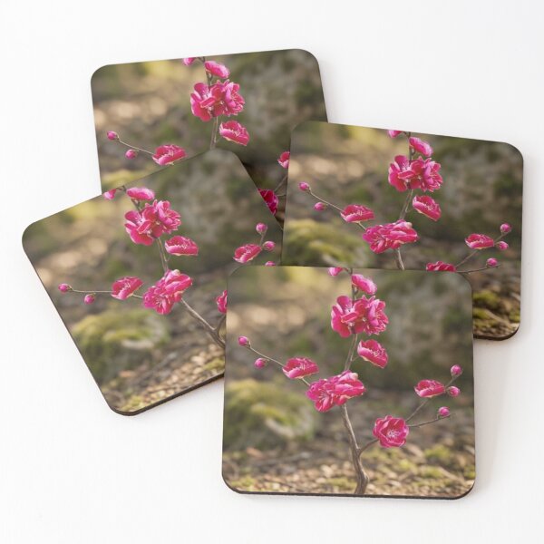 Item preview, The beautiful floret cherry blossom Flower designed and sold by prashant art factory ✅️.